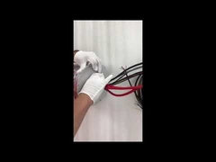 Ethernet-Schleifring ECN000-21P-06S-01EG